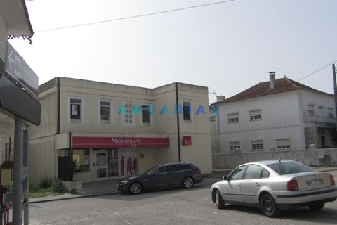 Helårsgrund i Pombal, Leiria, Pombal - € 36.000 | Ref: ANG594 - foto 6