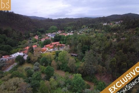 Erhvervsejendom i Espinho, Viseu, Espinho - € 550.000 | Ref: FIN_2806 - foto 4
