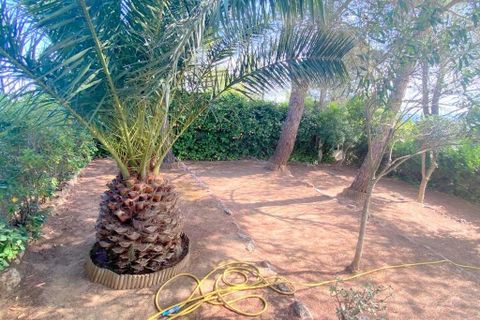 Villa a Mogente, Valencia, Mogente - € 200.000 | Ref: 03484/399 - foto 26