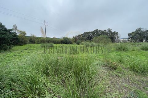Helårsgrund i Sintra, Lisbon, Sintra - € 4.900.000 | Ref: 7780 - foto 2