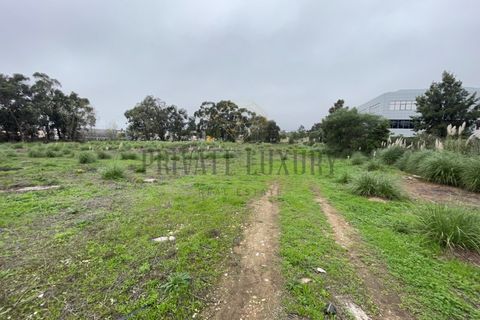 Helårsgrund i Sintra, Lisbon, Sintra - € 4.900.000 | Ref: 7780 - foto 4