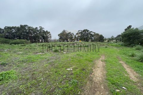 Helårsgrund i Sintra, Lisbon, Sintra - € 4.900.000 | Ref: 7780 - foto 5