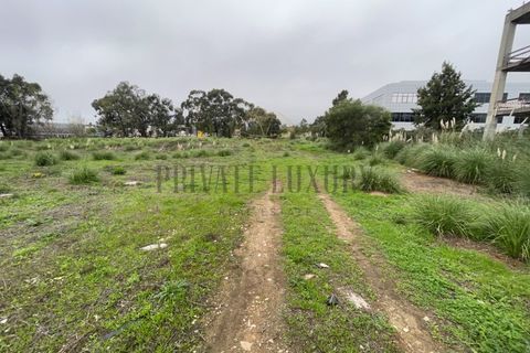Helårsgrund i Sintra, Lisbon, Sintra - € 4.900.000 | Ref: 7780 - foto 10