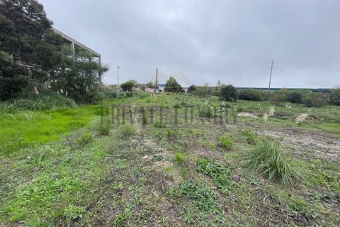 Helårsgrund i Sintra, Lisbon, Sintra - € 4.900.000 | Ref: 7780 - foto 11