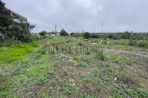 Helårsgrund i Sintra, Lisbon, Sintra - € 4.900.000 | Ref: 7780 - foto 12