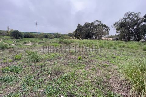 Helårsgrund i Sintra, Lisbon, Sintra - € 4.900.000 | Ref: 7780 - foto 14