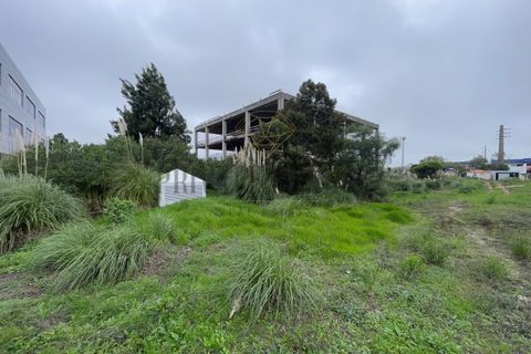 Helårsgrund i Sintra, Lisbon, Sintra - € 4.900.000 | Ref: 7780 - foto 19