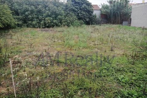 Villa i Cadaval, Lisbon, Cadaval - € 98.000 | Ref: RC.107311022 - foto 5