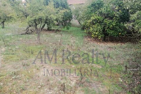 Villa i Cadaval, Lisbon, Cadaval - € 98.000 | Ref: RC.107311022 - foto 6