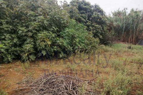 Villa i Cadaval, Lisbon, Cadaval - € 98.000 | Ref: RC.107311022 - foto 8