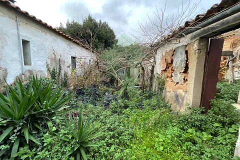 Villa i Cadaval, Lisbon, Cadaval - € 98.000 | Ref: RC.107311022 - foto 42