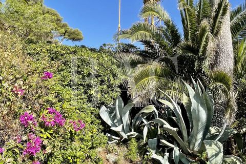 Villa i Antibes, Alpes-Maritimes, Antibes - € 7.900.000 | Ref: XP01720 - foto 15