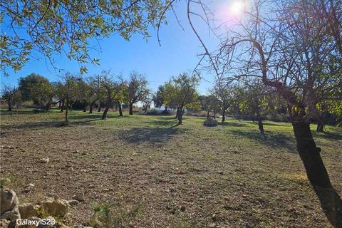 Garage i Noto, Siracusa, Noto - € 96.000 | Ref: 30T - foto 3