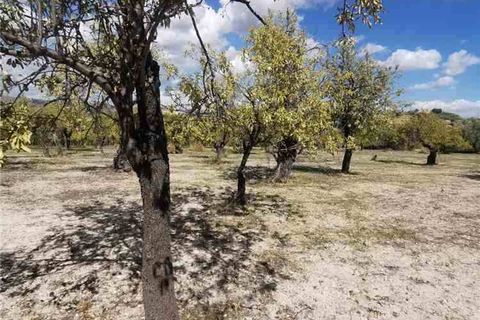 Garage i Noto, Siracusa, Noto - € 96.000 | Ref: 30T - foto 4
