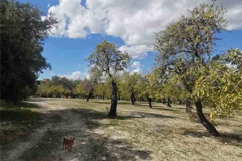 Garage i Noto, Siracusa, Noto - € 96.000 | Ref: 30T - foto 5