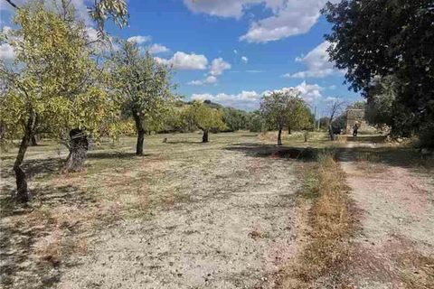 Garage i Noto, Siracusa, Noto - € 96.000 | Ref: 30T - foto 6