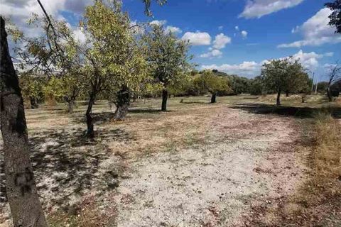 Garage i Noto, Siracusa, Noto - € 96.000 | Ref: 30T - foto 8