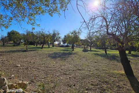 Garage i Noto, Siracusa, Noto - € 96.000 | Ref: 30T - foto 9