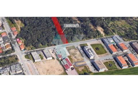 Terra a Angeiras, Porto, Angeiras - € 129.000 | Ref: TER_1938 (2) - foto 3