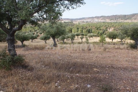 Tomt i Nisa, Portalegre, Nisa - € 32 000 | Ref: PP3217 - foto 2