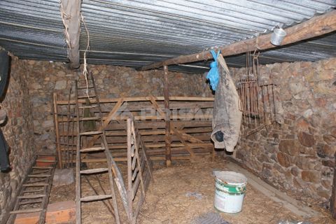 Tomt i Nisa, Portalegre, Nisa - € 32 000 | Ref: PP3217 - foto 6