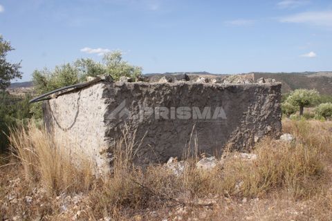 Tomt i Nisa, Portalegre, Nisa - € 32 000 | Ref: PP3217 - foto 8