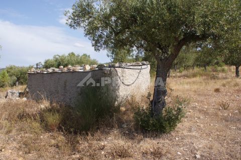 Tomt i Nisa, Portalegre, Nisa - € 32 000 | Ref: PP3217 - foto 9