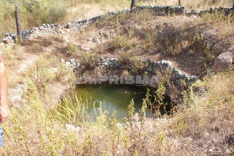 Tomt i Nisa, Portalegre, Nisa - € 32 000 | Ref: PP3217 - foto 10