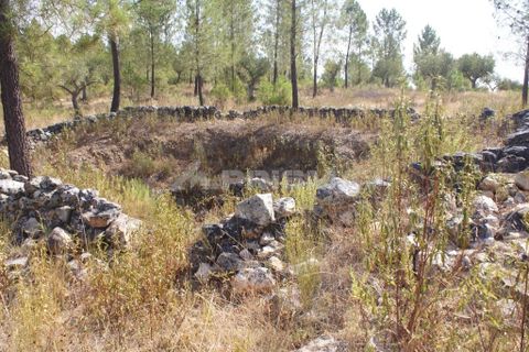 Tomt i Nisa, Portalegre, Nisa - € 32 000 | Ref: PP3217 - foto 11