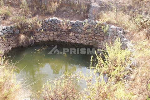 Tomt i Nisa, Portalegre, Nisa - € 32 000 | Ref: PP3217 - foto 13