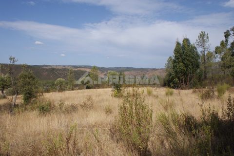 Tomt i Nisa, Portalegre, Nisa - € 32 000 | Ref: PP3217 - foto 14