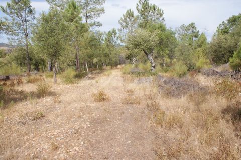 Tomt i Nisa, Portalegre, Nisa - € 32 000 | Ref: PP3217 - foto 15