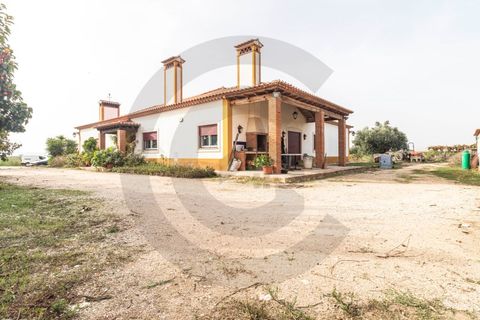 Farm i Golega, Santarem, Golega - € 550.000 | Ref: C0269-01391 - foto 1