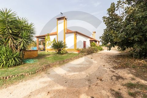 Farm i Golega, Santarem, Golega - € 550.000 | Ref: C0269-01391 - foto 2