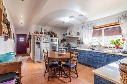 Farm i Golega, Santarem, Golega - € 550.000 | Ref: C0269-01391 - foto 6