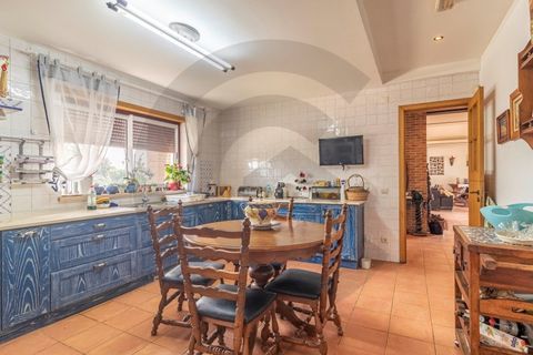 Farm i Golega, Santarem, Golega - € 550.000 | Ref: C0269-01391 - foto 7