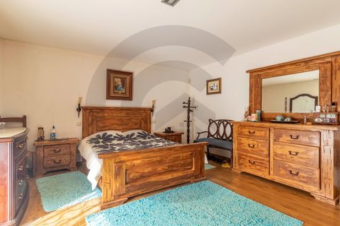 Farm i Golega, Santarem, Golega - € 550.000 | Ref: C0269-01391 - foto 9