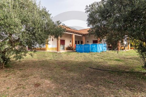 Farm i Golega, Santarem, Golega - € 550.000 | Ref: C0269-01391 - foto 11