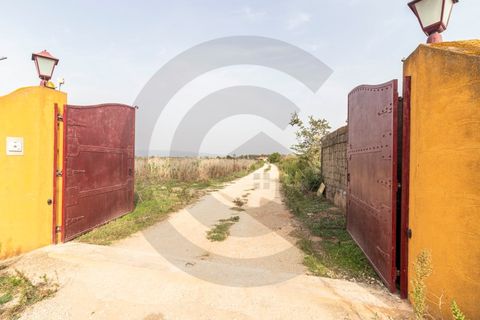 Farm i Golega, Santarem, Golega - € 550.000 | Ref: C0269-01391 - foto 13