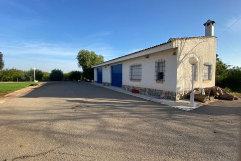 Villa a Torre Pacheco, Murcia, Torre Pacheco - € 1.500.000 | Ref: TP16 - foto 36