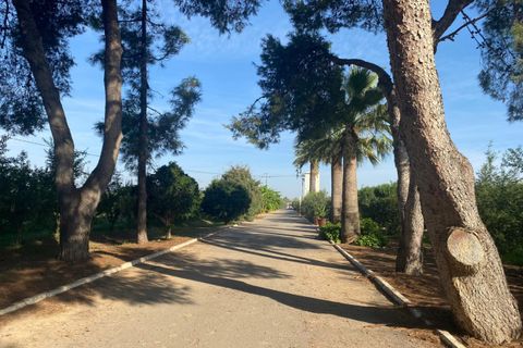 Villa a Torre Pacheco, Murcia, Torre Pacheco - € 1.500.000 | Ref: TP16 - foto 39
