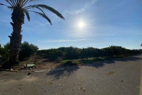 Villa a Torre Pacheco, Murcia, Torre Pacheco - € 1.500.000 | Ref: TP16 - foto 40