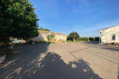 Villa a Torre Pacheco, Murcia, Torre Pacheco - € 1.500.000 | Ref: TP16 - foto 47