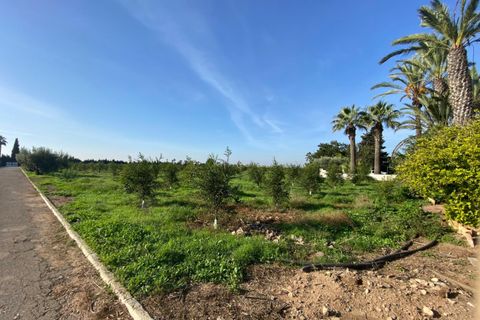 Villa a Torre Pacheco, Murcia, Torre Pacheco - € 1.500.000 | Ref: TP16 - foto 50