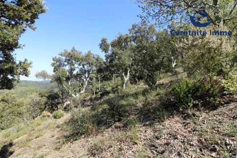 Terra a Taillet, Pyrenees-Orientales, Taillet - € 49.051 | Ref: 603 - foto 2