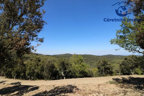 Terra a Taillet, Pyrenees-Orientales, Taillet - € 49.051 | Ref: 603 - foto 3