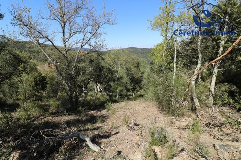 Terra a Taillet, Pyrenees-Orientales, Taillet - € 49.051 | Ref: 603 - foto 4