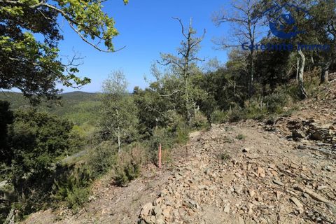 Terra a Taillet, Pyrenees-Orientales, Taillet - € 49.051 | Ref: 603 - foto 5