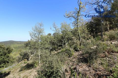 Terra a Taillet, Pyrenees-Orientales, Taillet - € 49.051 | Ref: 603 - foto 6