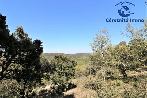 Terra a Taillet, Pyrenees-Orientales, Taillet - € 49.051 | Ref: 603 - foto 7